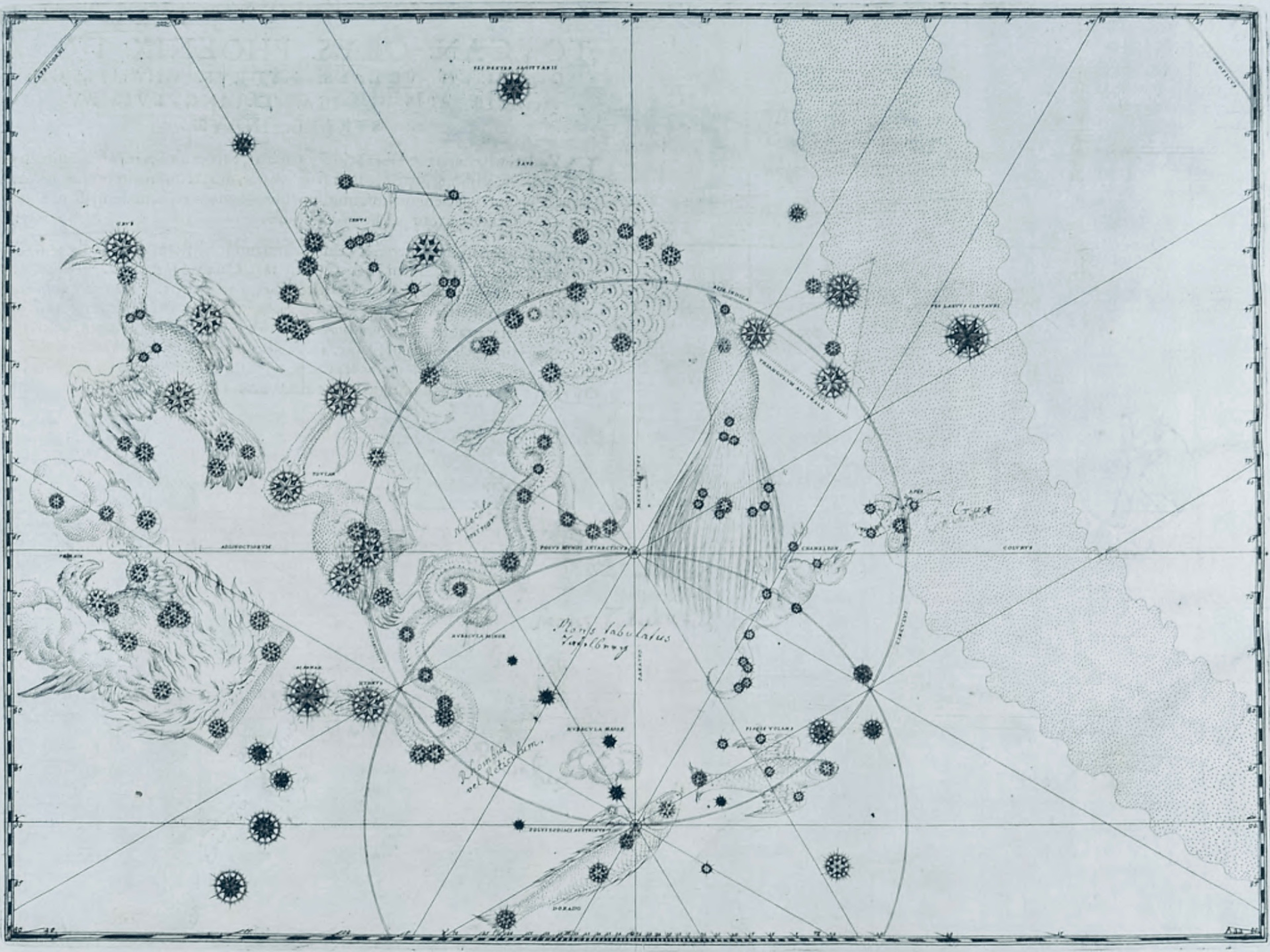 Engraved chart of the southern sky with Pavo, Grus, Phoenix and the polar circles